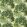 Ancient Canopy Fabric by Sanderson Sap Green