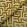 Apollon Fabric by Jim Thompson Citrine