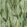 Aquatic Plants Wallpaper by MINDTHEGAP Green