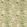 Arbour Fabric by Colefax and Fowler Leaf Green