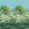 Arbre de Printemps Alta Fabric by Designers Guild Celadon