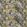 Arcadia Fabric by Warwick Charcoal