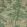 Arden Wallpaper by Colefax and Fowler Leaf Green