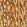 Arraz Fabric by Zinc Autumn