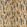Arraz Fabric by Zinc Tobacco
