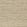 Arrowroot Wallpaper by Mark Alexander Tempest