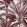 Palmera Wallpaper by Arte 41