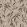 Bambou Wallpaper by Arte 22