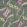 Artesian Wallpaper by Thibaut Wild Sage