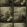 Artus Wallpaper by Clarke & Clarke Gilver