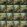 Artus Velvet Fabric by Clarke & Clarke Forest
