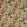 Aubrey Velvet Fabric by Studio G Noir/Mineral
