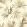 Aucuba Wallpaper by Harlequin Bronze Pearl