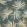 Aucuba Wallpaper by Harlequin Slate Topaz