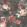 Ava Marika Mural by Woodchip & Magnolia Blush Rouge
