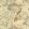Aviary Wallpaper by Madeaux 08 Earth Tones