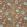 Azalea Fabric by Prestigious Textiles Nutmeg