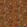 Baby Bombay Fabric by Arley House Burnt Orange