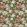 Baby Bronte Fabric by Arley House Forest