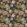 Baby Bronte Fabric by Arley House Midnight