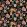 Baby Guava Fabric by Arley House Black