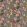 Baby Guava Fabric by Arley House Twilight
