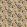 Baby Mirage Fabric by Arley House Cacao