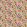 Baby Mirage Fabric by Arley House Cactus