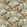 Baby Oasis Fabric by Arley House Autumn
