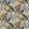 Baby Oasis Fabric by Arley House Slate