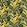 Baby Oasis Fabric by Arley House Zest