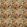 Baby Rutland Fabric by Arley House Coral