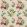 Botanical Paradise Fabric by Baker Lifestyle Multi