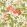 Bamboo & Birds Wallpaper by Sanderson Mandarin Red / Olive