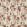 Bamford Fabric by Prestigious Textiles Redbrick