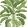 Banana Tree Wallpaper by Thibaut Green