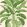 Banana Tree Wallpaper by Thibaut Pink and Green