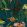 Bank of Fish Wallpaper by Coordonne Lagoon