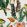 Bank of Fish Wallpaper by Coordonne Swan