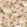 Baobab Botanica Wallpaper by Cole & Son Blush