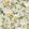 Baobab Botanica Wallpaper by Cole & Son Duck Egg