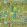 Barbados Fabric by Prestigious Textiles Palm