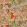 Barbados Fabric by Prestigious Textiles Shell