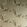 Dragonfly Wallpaper by Barneby Gates Pewter