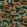 Basilisk Fabric by Arley House Emerald
