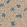 Bea's Swallows Wallpaper by Josephine Munsey Alma and Osney Blue