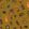 Beetle Fabric by Arley House Gold