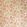 Bepton Fabric by Titley and Marr Scarlet, Grass & Coral