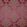 Berry Fabric by Casal Imperial