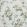 Betty Chintz Fabric by Schumacher Celadon